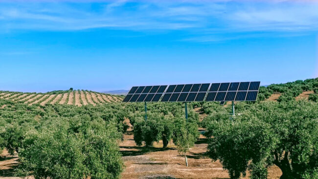 622c8fa1c18e77225ea253d606cb8ed6