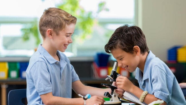 66e98d8864734a29f515a4c9