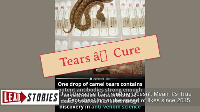 7303db9a6263d417869094b5d97fa64f