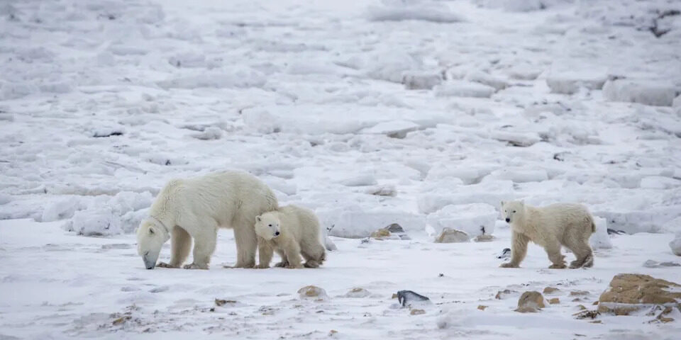 73fb9096223dac31f4e8b3737b978ffd