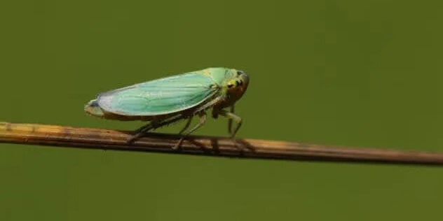 8263fc82d5fbe2f46c3e510a277767a1