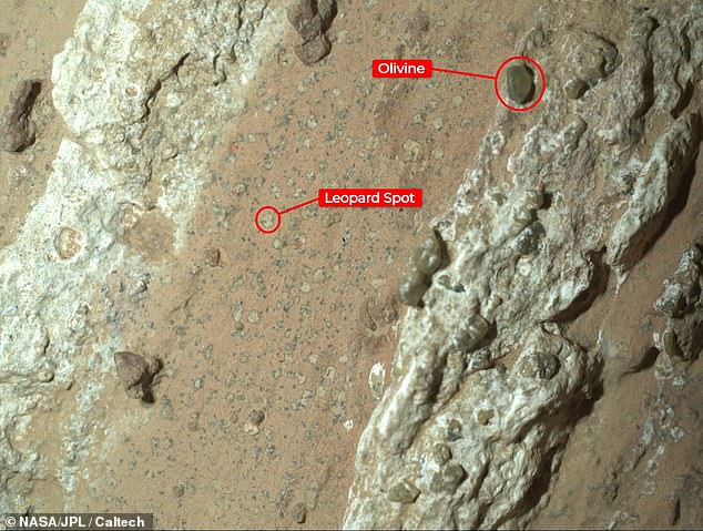 In 2024, NASA's Perseverance rover spotted a vein-filled arrowhead-shaped rock on Mars that featured chemical signatures and structures that could have been formed by microbial life billions of years ago