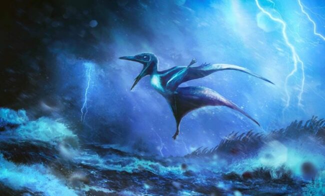 Artist-Impression-of-Hatchling-Pterosaur-Caught-in-a-Storm-777×467.jpg