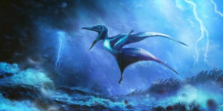 Artist-Impression-of-Hatchling-Pterosaur-Caught-in-a-Storm-777×467.jpg