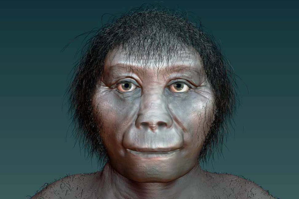 Artists-impression-of-Homo-floresiensis.jpeg