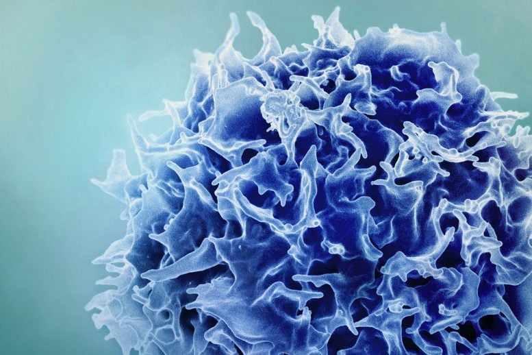 Blue T Cell