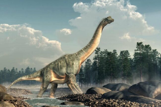 Brachiosaurus-Sauropod-Dinosaur-777×518.jpg