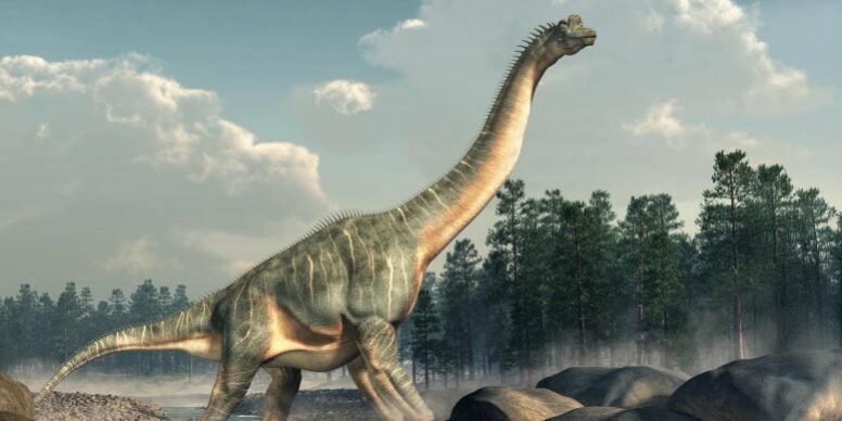 Brachiosaurus-Sauropod-Dinosaur-777×518.jpg