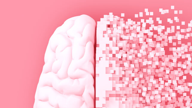 FragmentedBrain-642×361.jpg