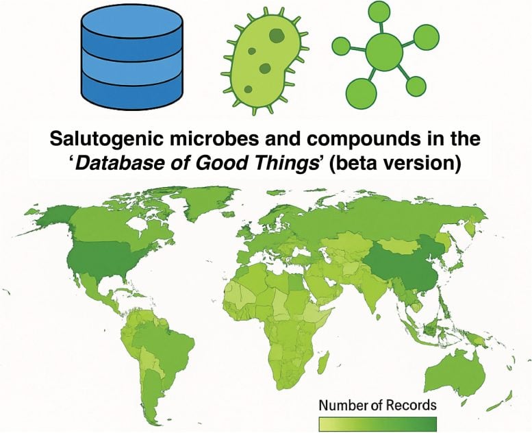 Harnessing the Positive Health Benefits of Microbes Graphical Abstract