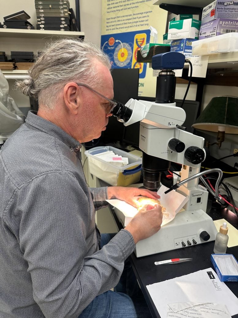 Matt Von Konrat Examining Moss Samples Vertical
