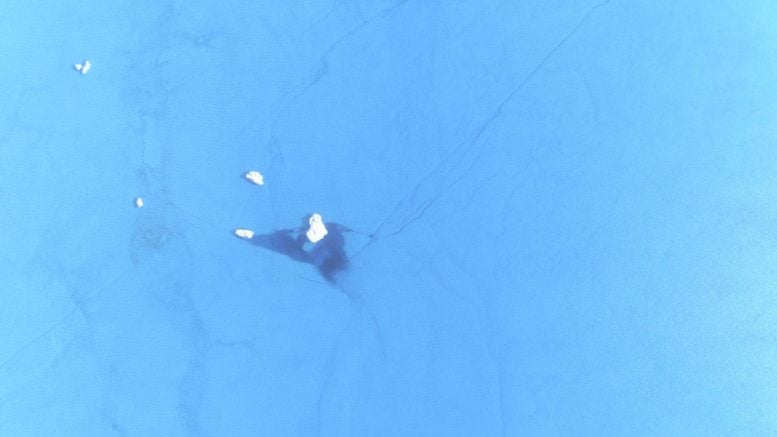 Moulins on the 79°N Glacier