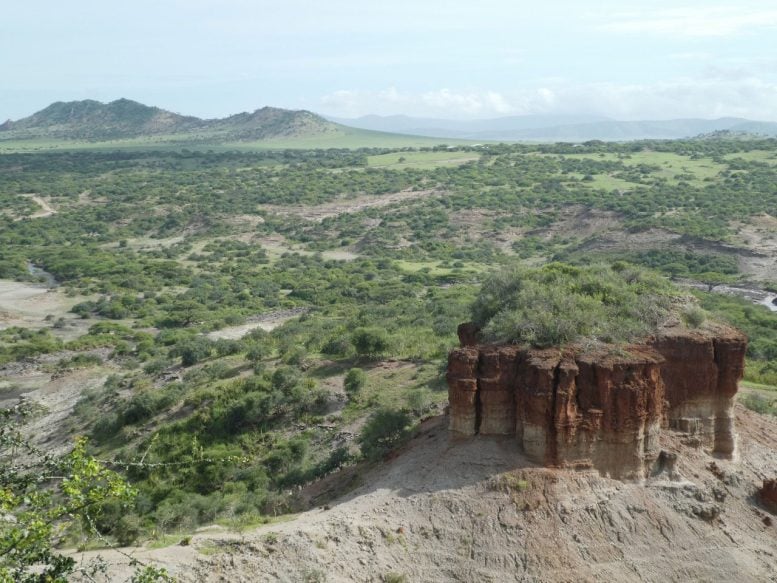 Olduvai Gorge