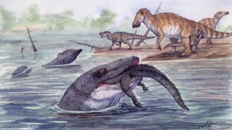 Reconstruction-of-Hell-Creek-Mosasaur.jpeg