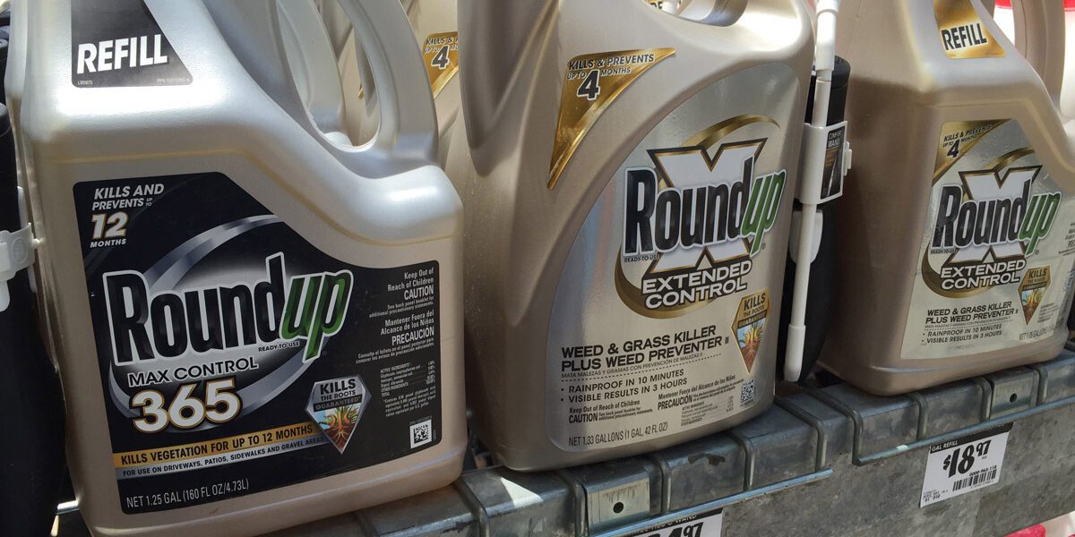 RoundUp-Bottles-Store-Shelves.jpg