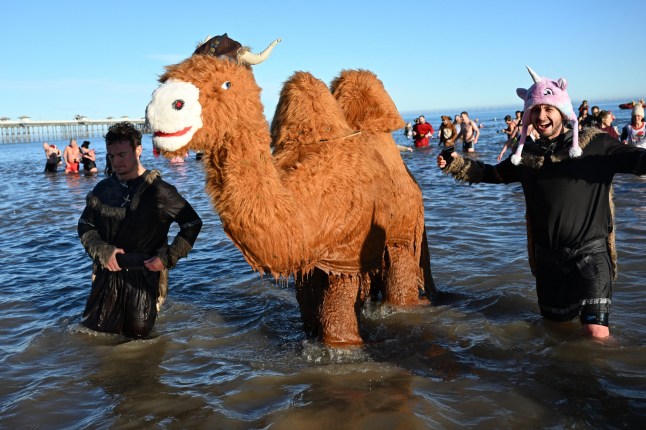 Participants take part in a Boxing Day Sea Dip off the coast at llandudno, north Wales on December 26, 2024. The Lions Club of Llandudno's Boxing Day Sea Dip is the final event in the clubs year of fund raising.