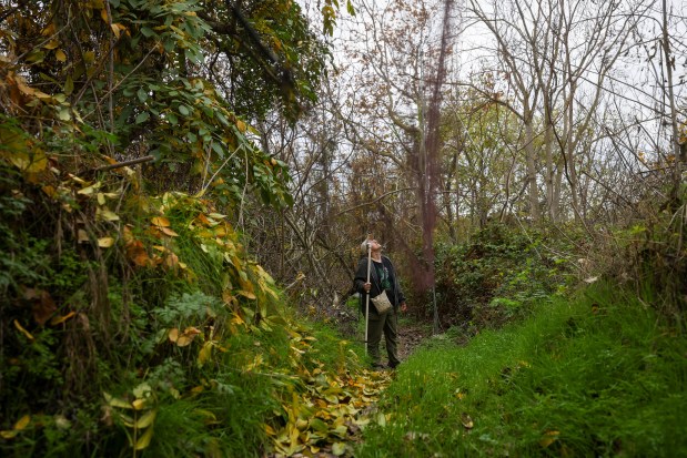 San Francisco Bay Bird Observatory Science Director Katie LaBarbera checks...