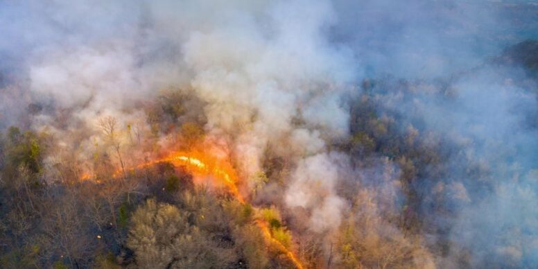 Smoke-Flames-Wildfire-Forest-Hill-777×518.jpg