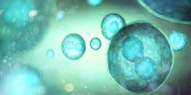 Turqoise-Stem-Cells-777×437.jpg