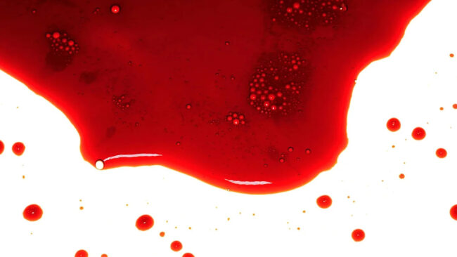 a6972511fcda1b5d62b5d0d1d52cadc0