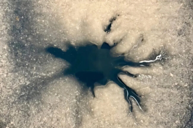 a6f2ebc596ed1452d53b63499afbe574