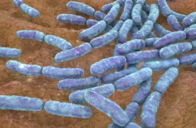 b9e1beb3ecf8f126567ac291272dae13