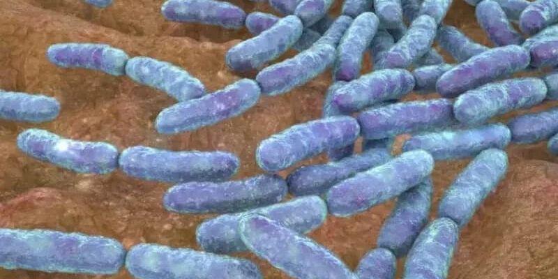 b9e1beb3ecf8f126567ac291272dae13