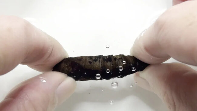 be8a93f4cc459496f7df9d63ee0ffc2d