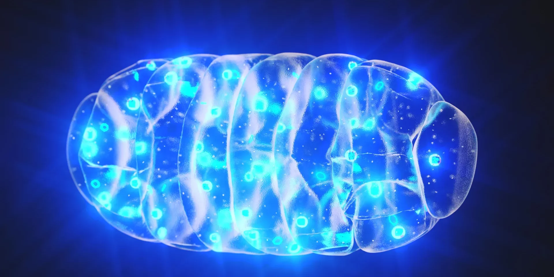 blue-light-glowing-mitochondria.webp