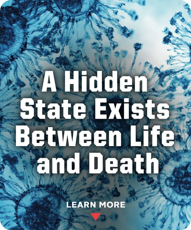 c582c78f9449acf4f9b5bd1dc06c73f8