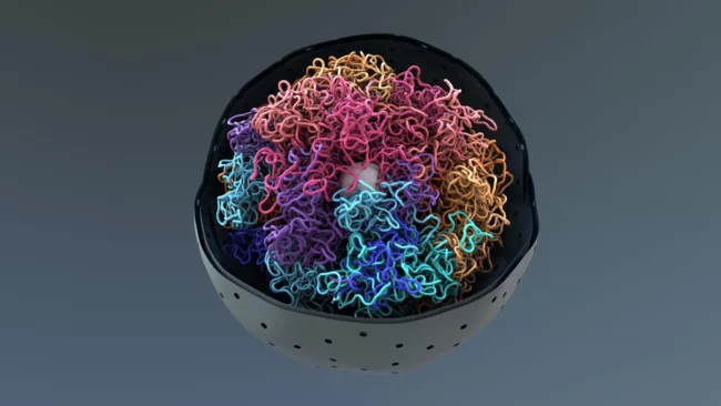 chromosomes-dna-cell-nucleus.webp