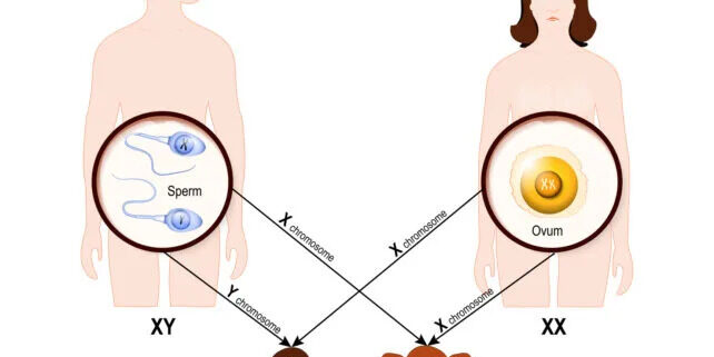 d2fe445561185b580f00f737168d8674
