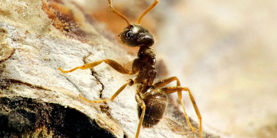 e774ed259d4074f03cdf4751e9d32a6e