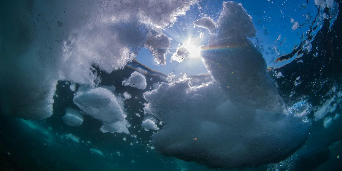 e9bc965c451e30946329278b9712aafd