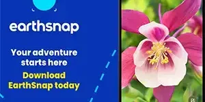 earthsnap-banner-news.webp