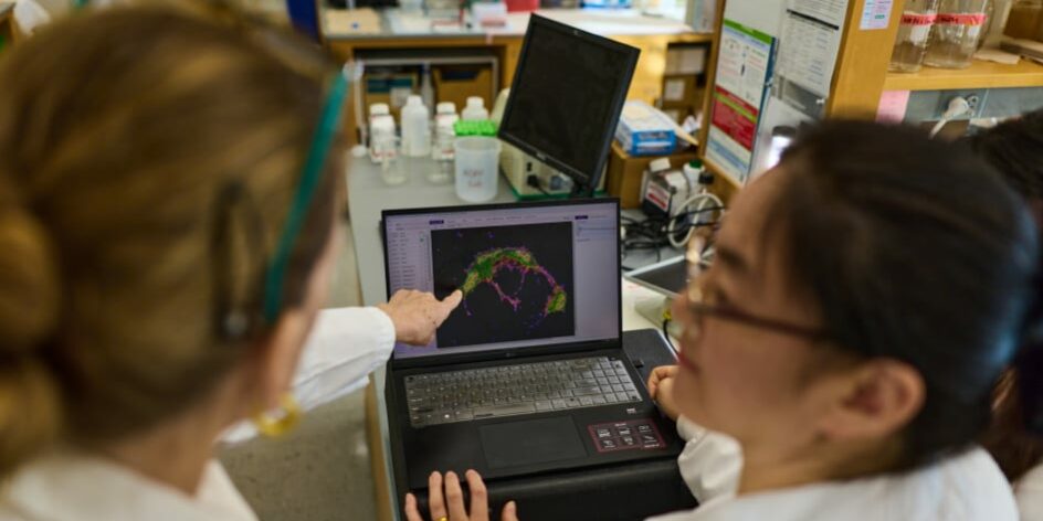 eb228c44-06e4-4791-adbf-808b58e45f35