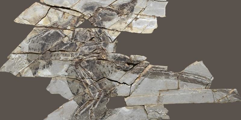 ee347f9b54eeb67cee72119543db566b