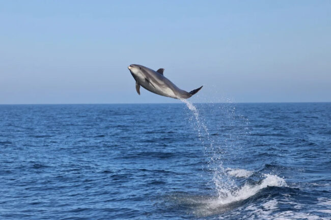 f8530f1082623620d56ab1bfd833e539