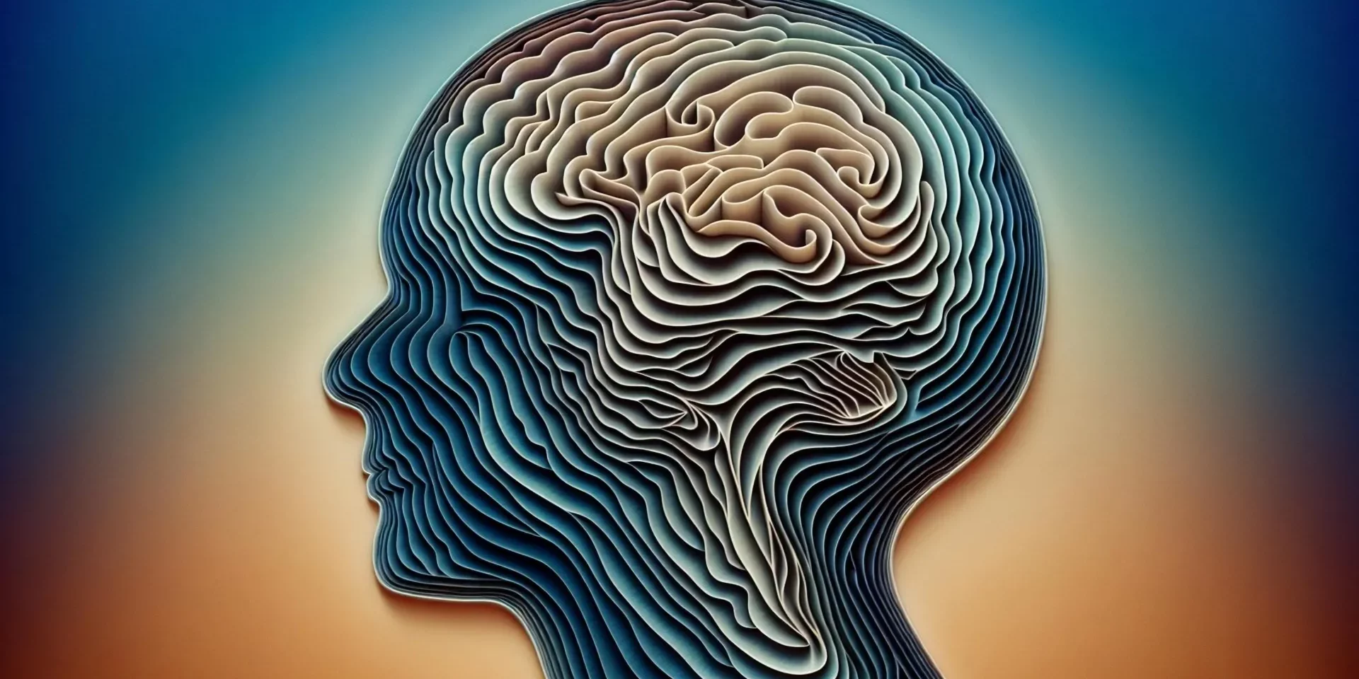 human-brain-folds-layers.webp