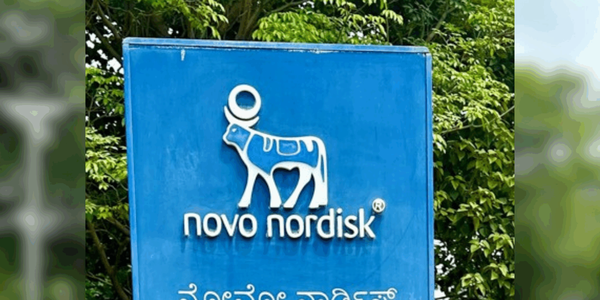 novo-nordisk.png