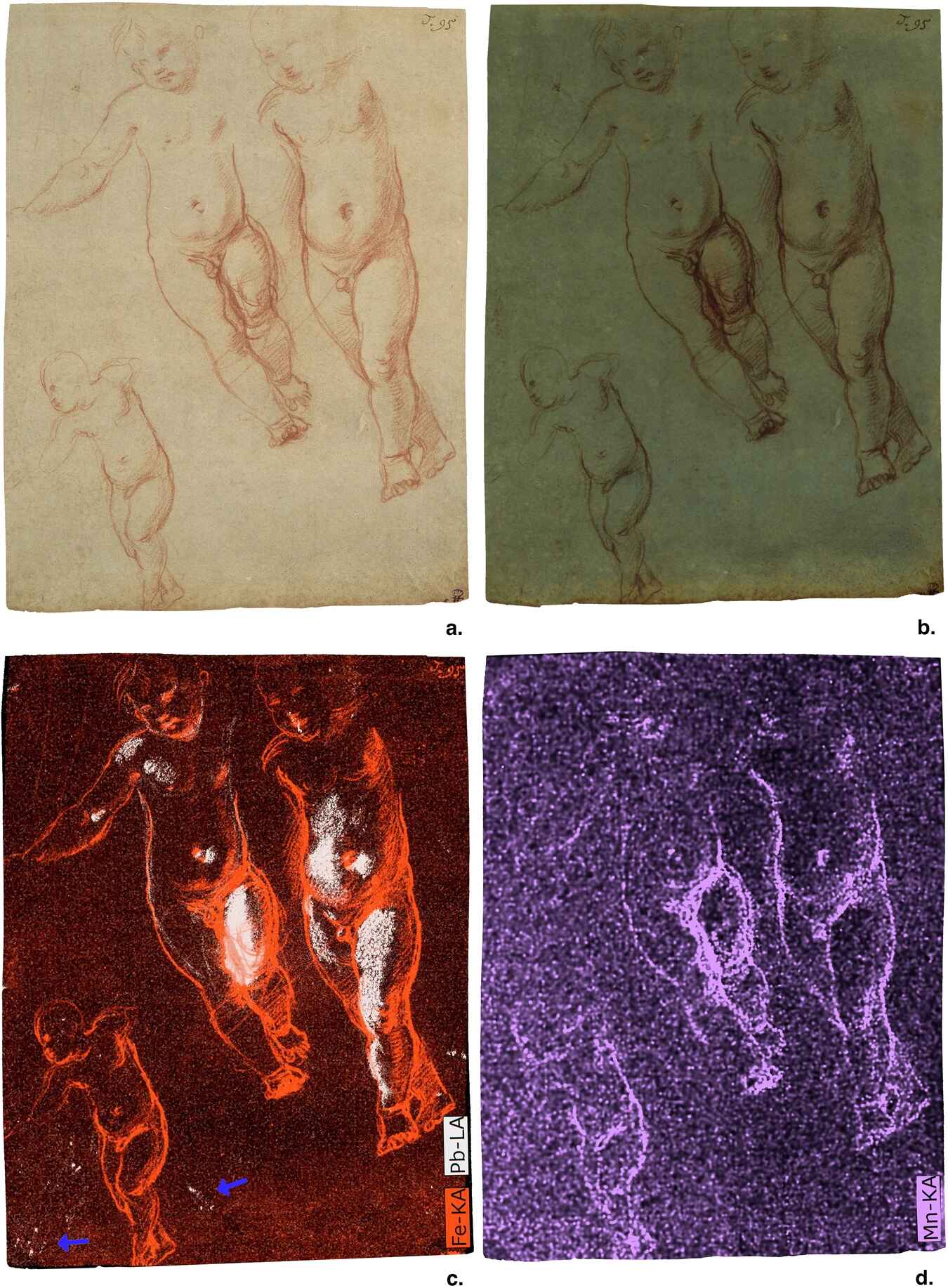 Raphael, Studies of the Christ Child, 1513-14