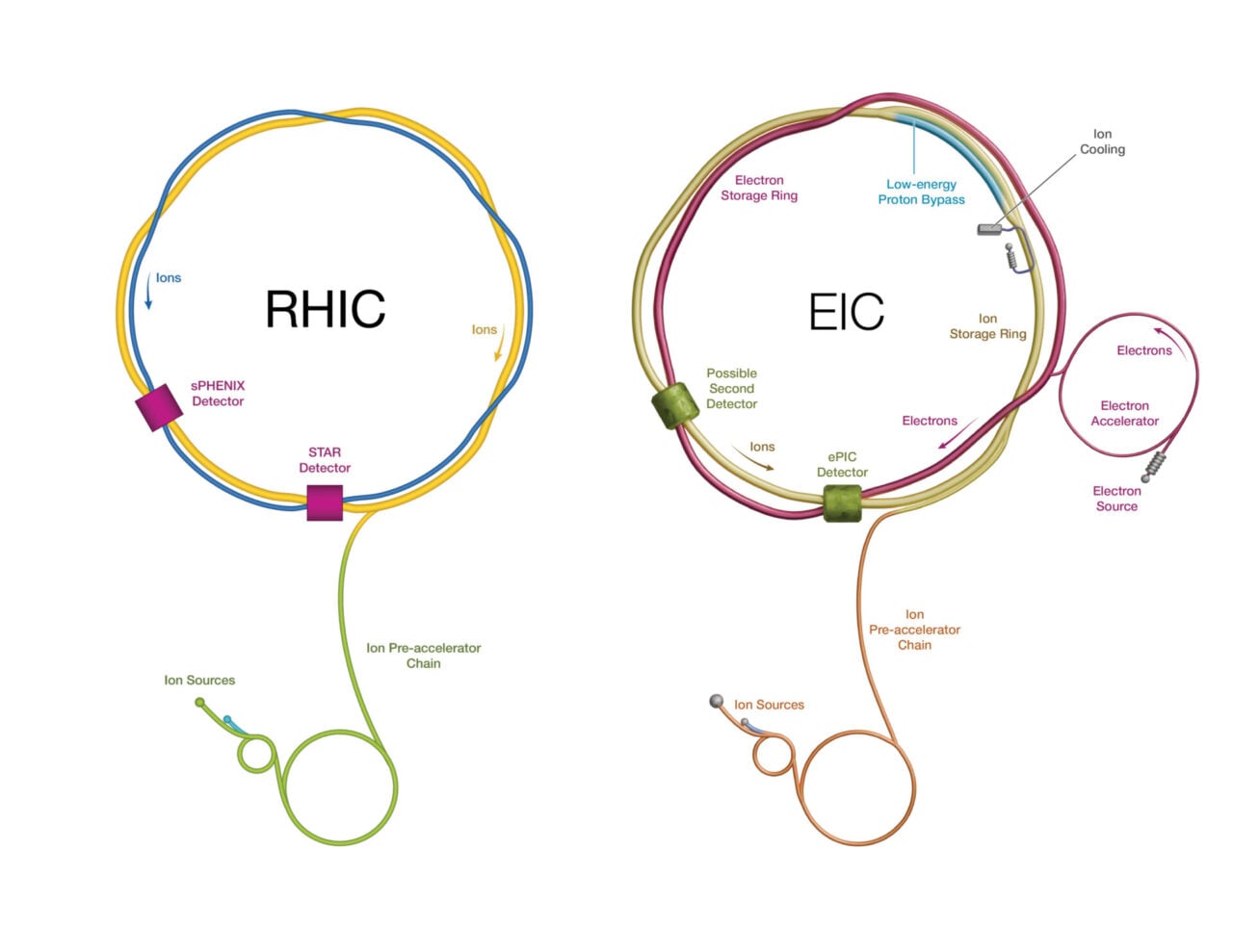 An artist's renderings of the RHIC (left) and the next-generation EIC (right).
