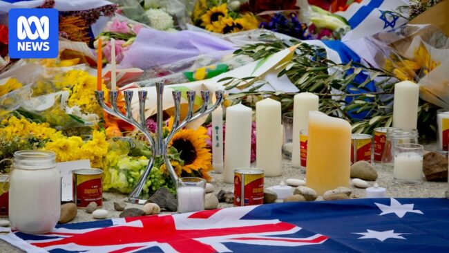 11521d73bc54160515f976b36e3ef8a1