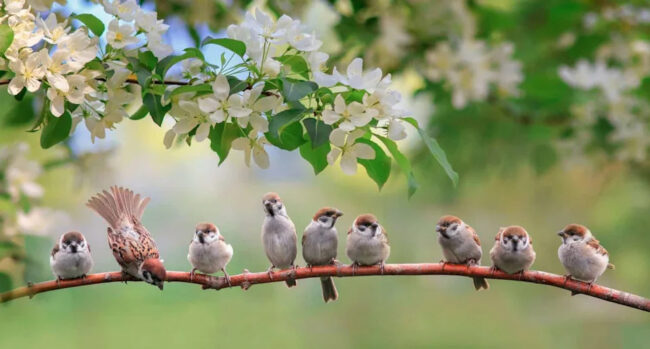 2619b6c6d680203de12448444e19d0dc