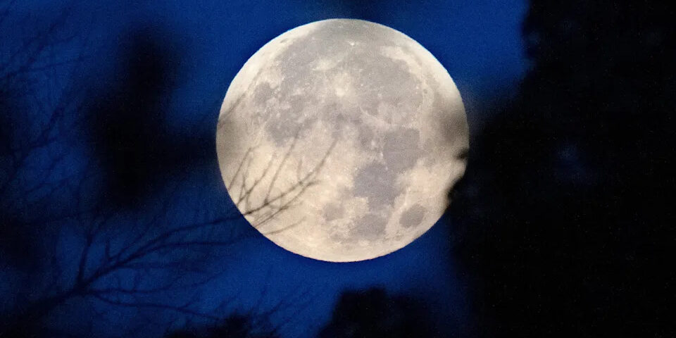 2a8a59724e8e50d0d5d10e91d4f83cd8