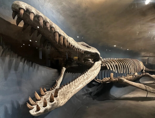 2fa7f31e52d2ff093e7940f0fa216b5c