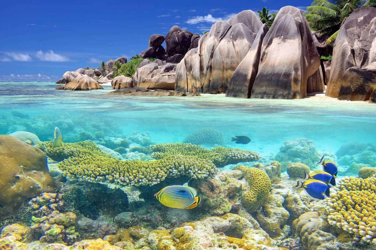 Snorkeling by the island's famous granite 
