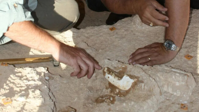 4cb608199a1edf90db9f2961f2dd028a