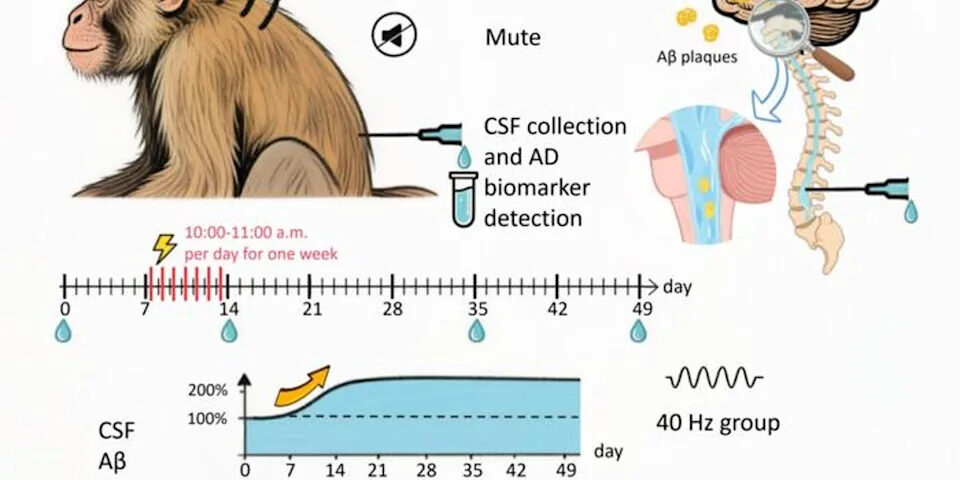 638af7a0d64bf6abe02e6d3c5bfbf4e2