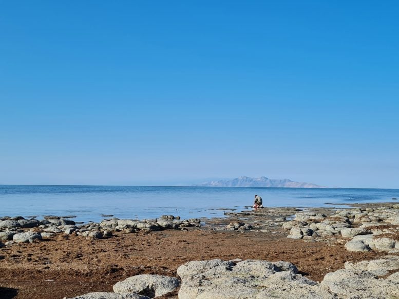 Collecting Nematodes Great Salt Lake